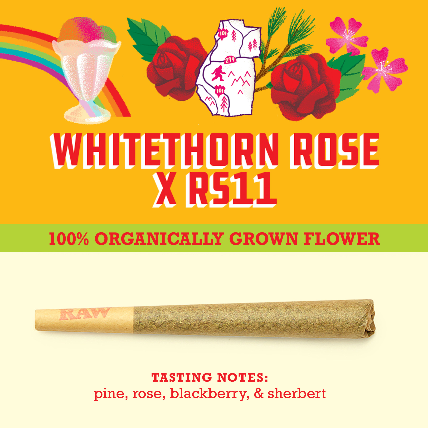 PCC_WhiteThornRose_RS11_Preroll_Menu